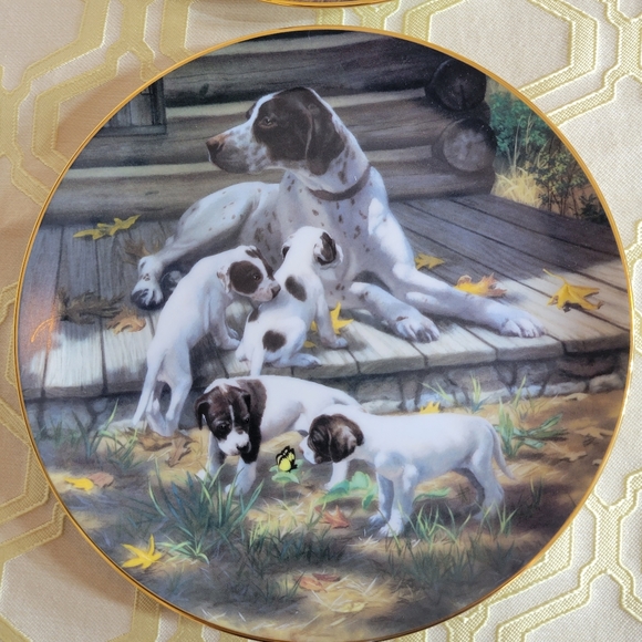Bundle of 2 decorative collector dog plates - Pointer and Lab - Picture 8 of 8